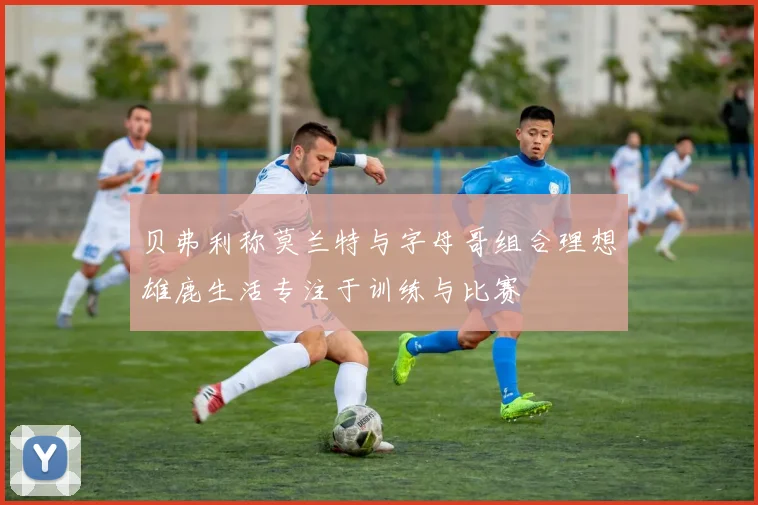 贝弗利称莫兰特与字母哥组合理想雄鹿生活专注于训练与比赛