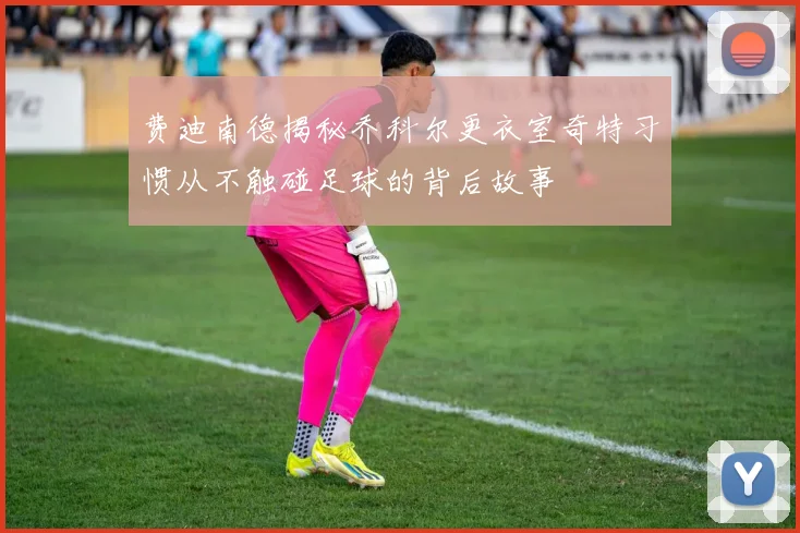 费迪南德揭秘乔科尔更衣室奇特习惯从不触碰足球的背后故事