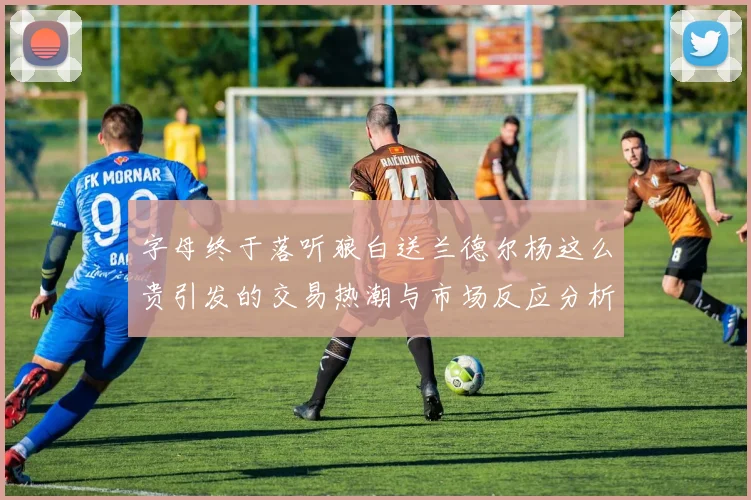 字母终于落听狼白送兰德尔杨这么贵引发的交易热潮与市场反应分析